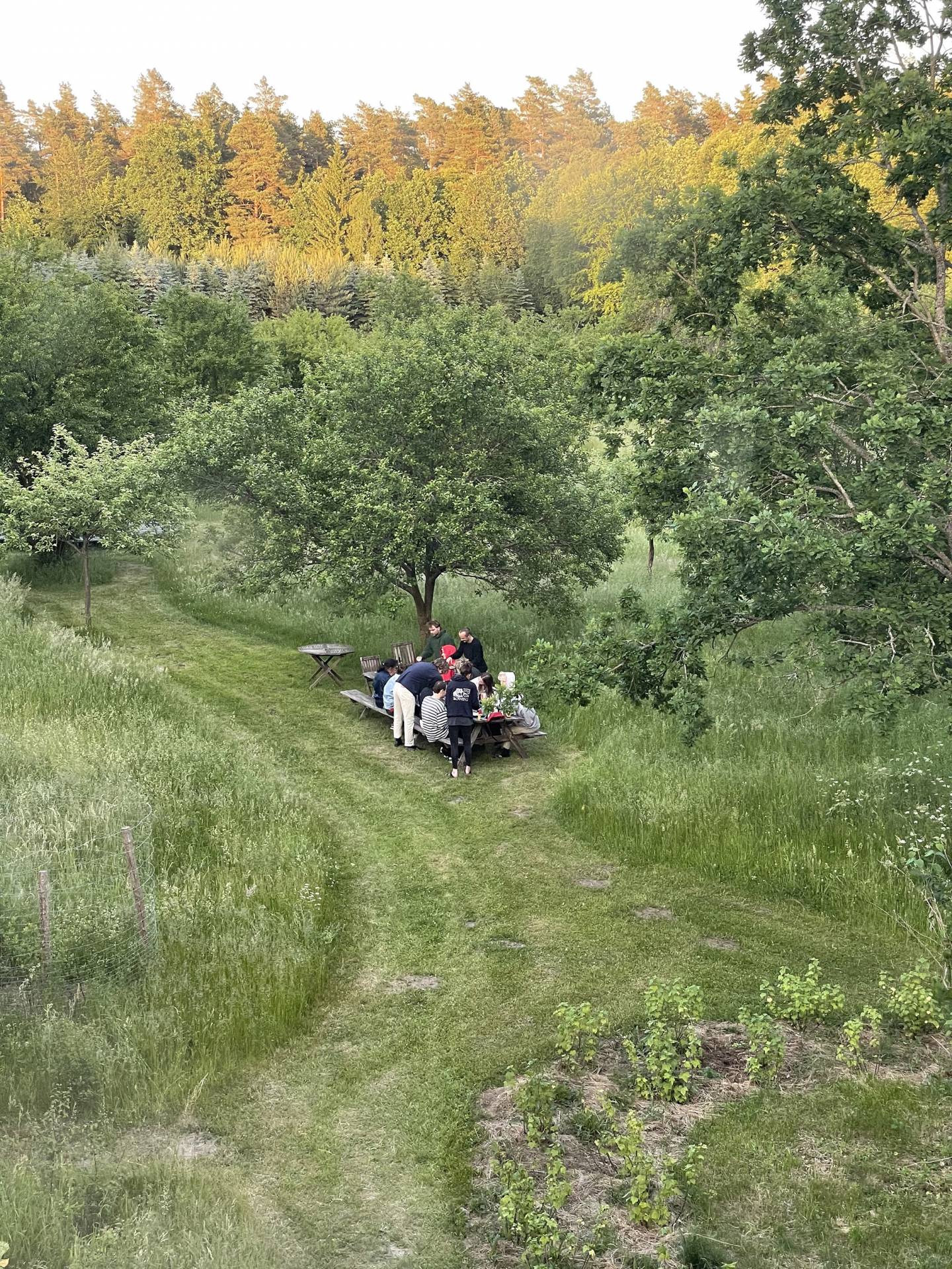 People gathering around a table in a nature environment.